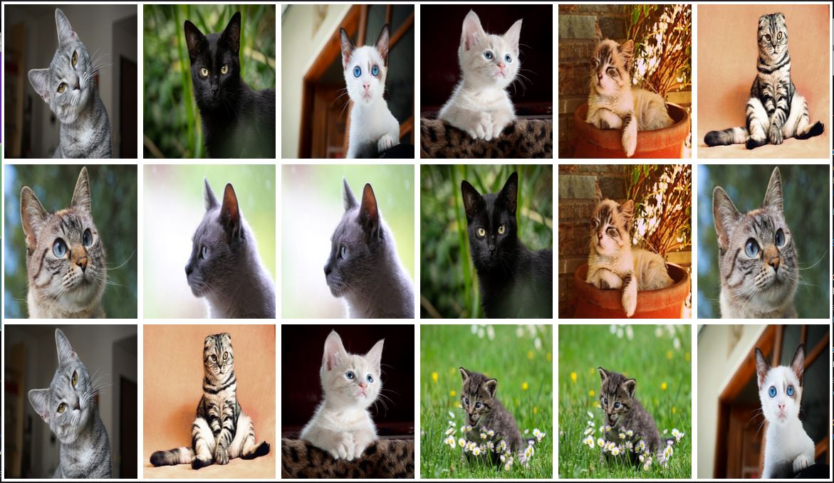 Stara gra Memory z obrazkami kotków, piesków i motyli, napisana w JavaScript oraz HTML, CSS